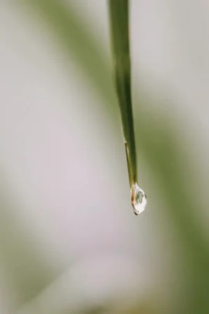 Minimalistische Naturkunst