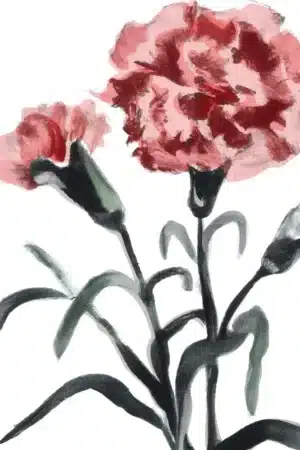 Nelken in Aquarell