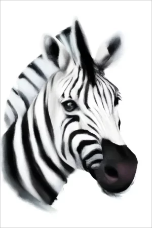 Zebra Kunst