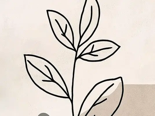 Line Art